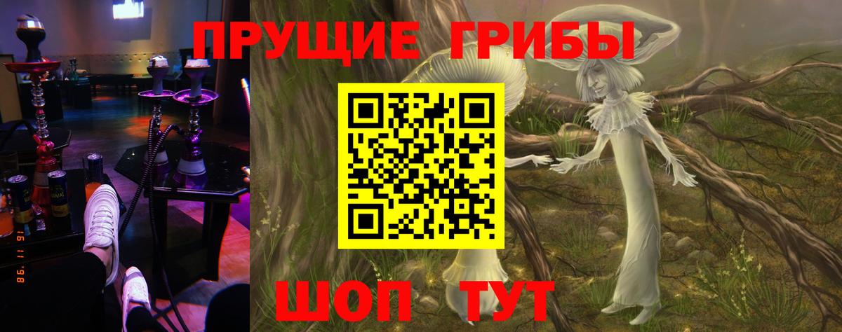 Галлюциногенные грибы Psilocybine cubensis Батайск